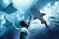 Underwater-Zoo-Aquarium