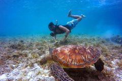 Scuba-Diving