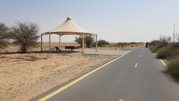 The al wathba track 