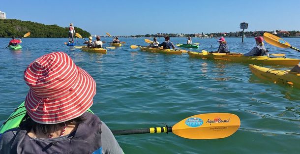 Kayak in the Mangroves