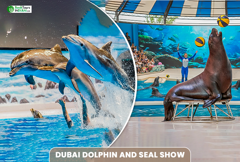 Dubai Dolphin And Seal Show