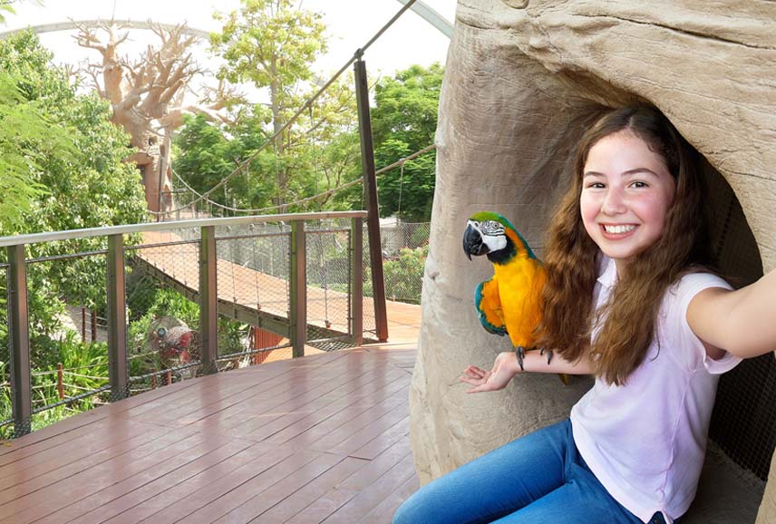 Avail the discount on Dubai Safari Park tickets