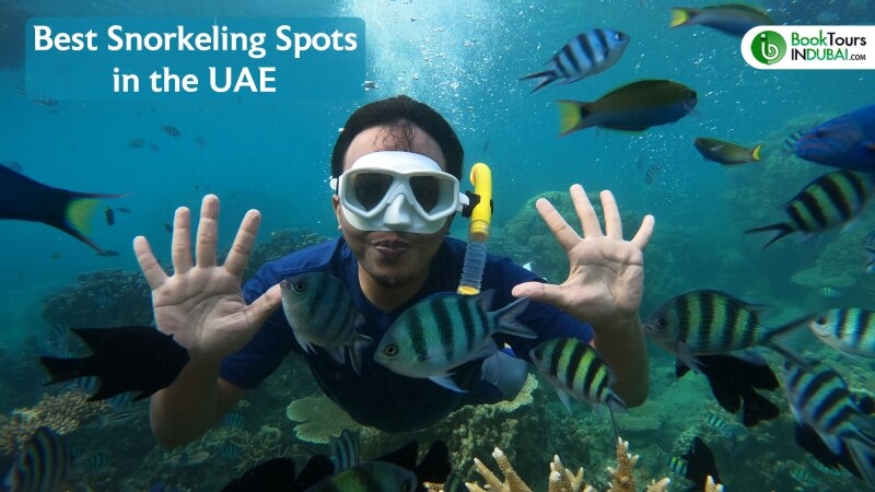 Best snorkeling spots in UAE