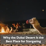 Dubai Desert Stargazing