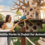 Best Wildlife Parks in Dubai for Animal Lovers