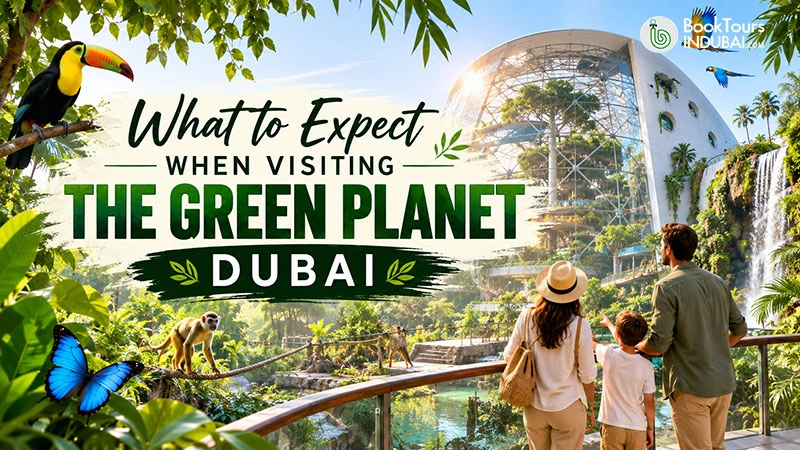 Trip to The Green Planet Dubai: Amazing Things to Expect